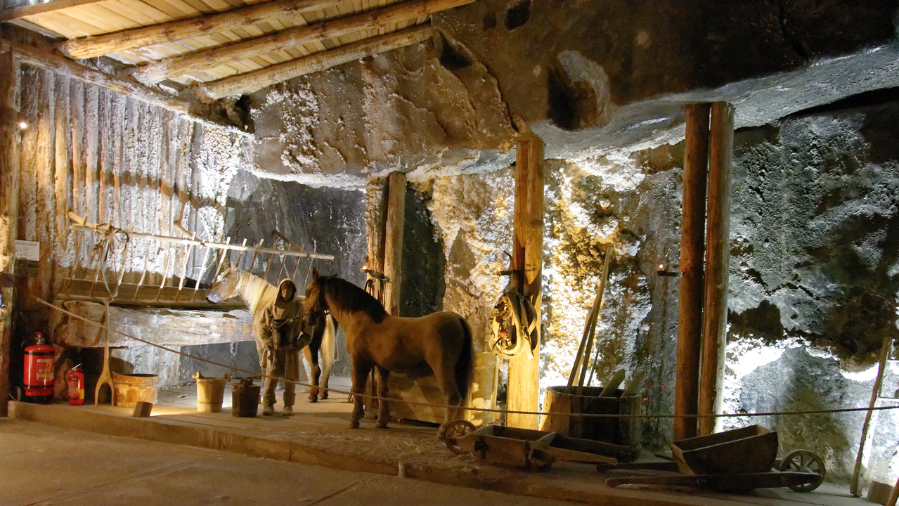 20160515-103649••Wieliczka•Lesser Poland Voivodeship•Poland